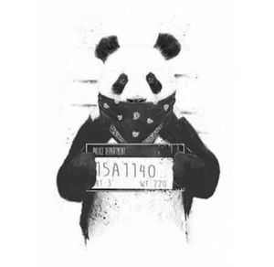 Meet your Posher, Steve